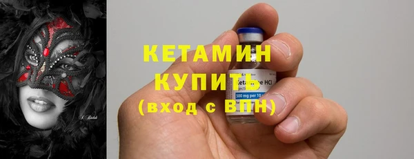 сатива Дмитров