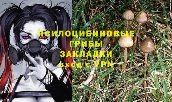 спиды Беломорск