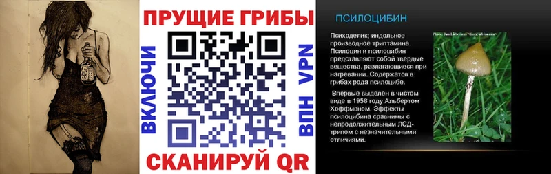 Галлюциногенные грибы Psilocybe  даркнет сайт  Костерёво 